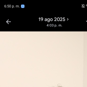 Cesardar488888